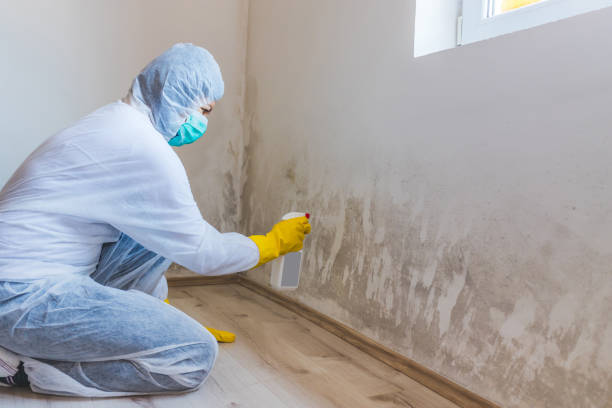 Bathroom Mold Removal assessment in Westernport bathroom